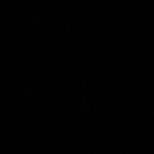 Meet your Posher, Jaylan